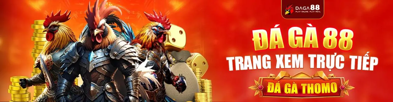 Sân chơi đá gà trực tuyến manclub game sôi động